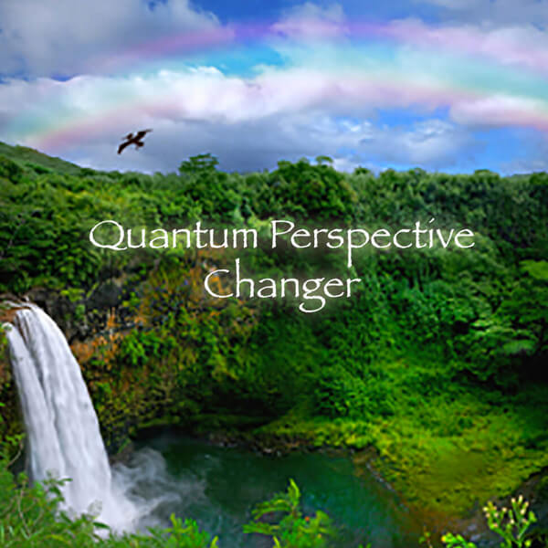 Quantum Perspective Changer